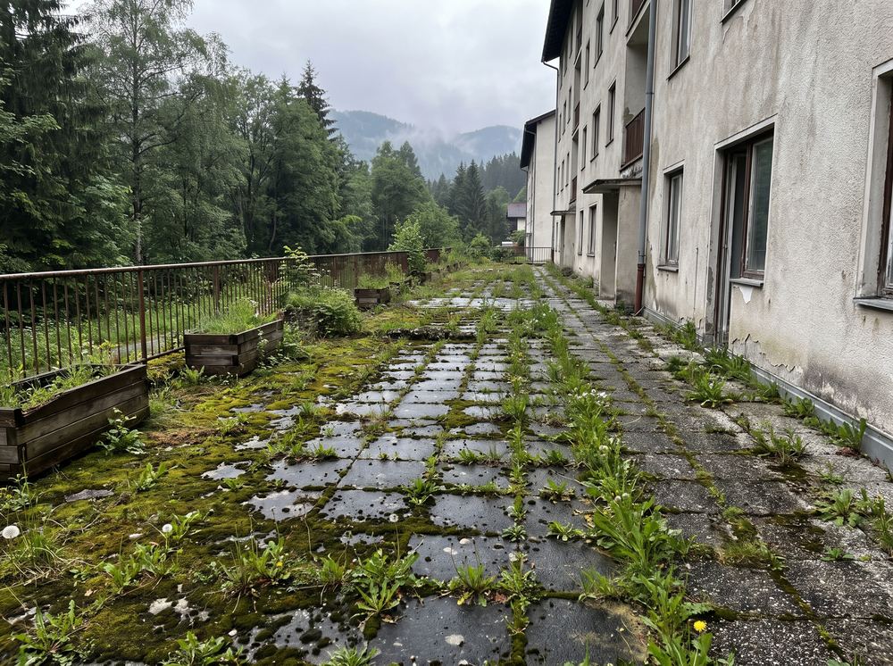 Terrasse vor der Reinigung